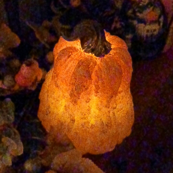 Harvest Pumpkin & Gourd set,illuminating On A Timer,/Valeri/Qvc,made Of Wax - Picture 11 of 13